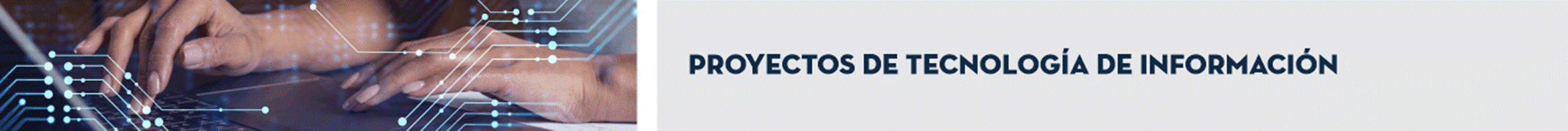 Título: Proyectos de tecnología de Información.